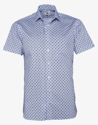 Rissani #4704551