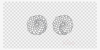 Download Library Clipart Phyllotaxis Golden Ratio Conifer - Clip Art #4704838