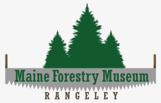 Museum - Illustration #4705793