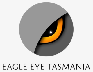 Eagle Eye Png - Eagle Eye #4705799