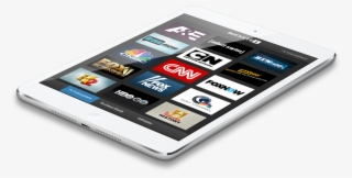 Buckeye - Apple Ipad Family #4706181