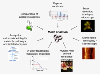 Team Brötz-oesterhelt - Three Gears #4706403