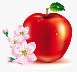 Services - Red Apple Images Download #4710947