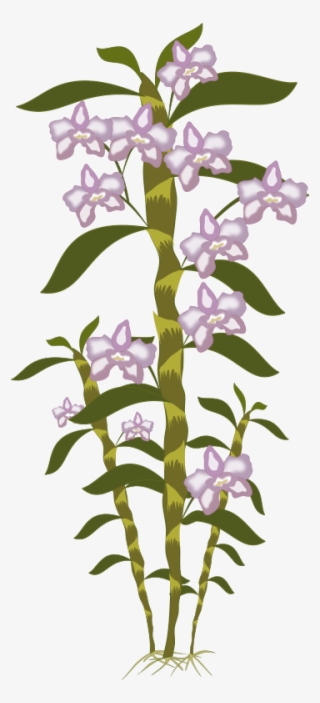 Free To Use Public Domain Plants Clip Art - Portable Network Graphics #4711602