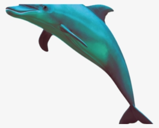 Vaporwave Dolphin Png #4712451