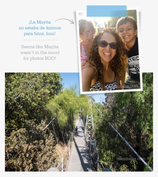 Adventure At Bruce St - Tree #4715723