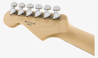 New Fender American Elite Stratocaster Ebony Fretboard - Fender American Elite Telecaster Thinline Champagne #4716695