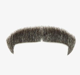 Moustache Png Image Transparent - Real Mustache Png Transparent #4717460
