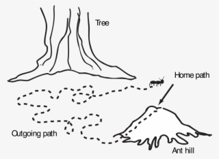 Clip Arts Related To - Camino De Hormigas Dibujo #4719495