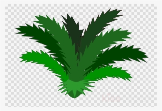 Jungle Plants Clipart Tropical Rainforest Clip Art - Rainforest Plants Clip Art #4719950