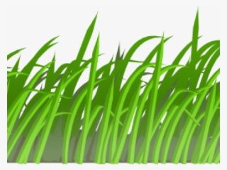 Sea Grass Clipart Jungle Grass - Transparent Cartoon Grass #4720016