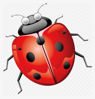 Ladybug Transparent Image - Ladybird Beetle #4720946