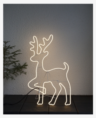 Silhouette Neoled - Led Dekofigur Neoled Rensdyr Silhuet #4721486