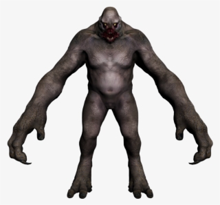 5 - Western Gorilla #4723876