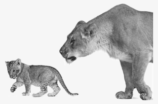 Financial Planning,financial Advisor,investment Management - Ars Edition Kinder- In Bunt #4724346