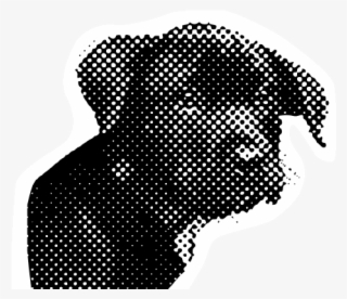 African Elephant #4724399