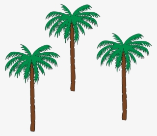 Palm Tree Png 22, Buy Clip Art - Small Palm Tree Clipart #4726285
