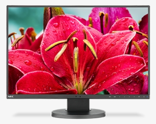 Nec Display Solutions - Nec Display Lfd Nec Multisync Ea245wmi-bk - Led Monitor #4726931