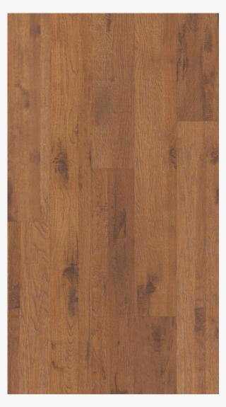 Shaw Tacoma Hickory St Johns Hickory - Plywood #4727570