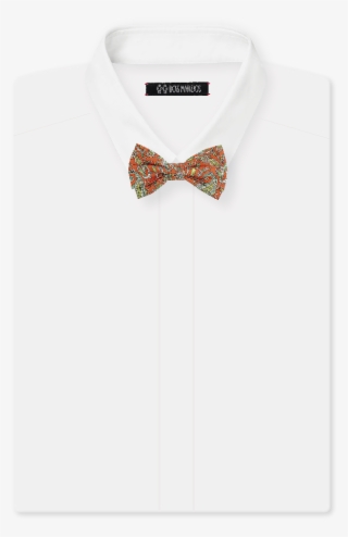 Gravata Borboleta Alfredo - Bow Tie #4727824