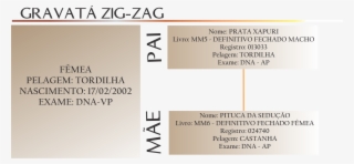 Compartilhar - Mangalarga Marchador #4727960