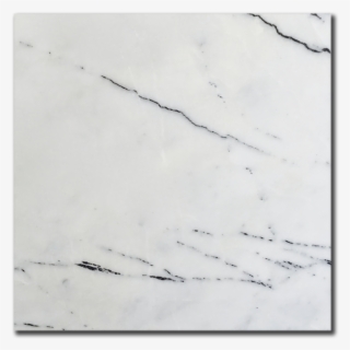 Asena White Medium Vein - Sketch #4728351