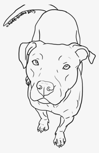 Pitbull Dog Head Png - Easy To Draw Pitbull #4728599