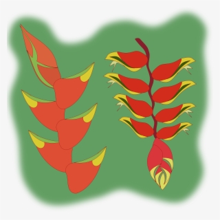 This Free Icons Png Design Of Heliconia Flower #4729755