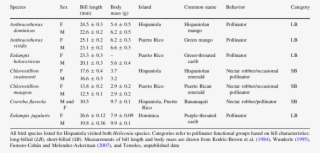 Floral Visitors Of Heliconia Caribaea And H - Heliconia Bihai #4729873