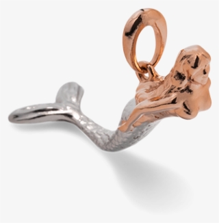 Ossidabile Mermaid Tail Hammerhead Shark Pictures Jpg - Newton #4730077 Ossidabile Mermaid Tail Hammerhead Shark Pictures Jpg - Newton #4730077