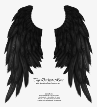 Angel Png Transparent Angel Png Image Free Download Page 5 Pngkey - fallen angel wings roblox