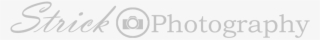 Logo Wide Light #4733432