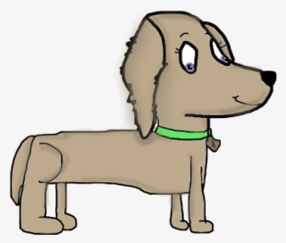 Tresiba - Dachshund #4734599