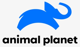 Open - Animal Planet Logo 2018 #4735984