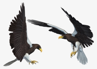 Eagle Png - Eagle 3d Png #4737828