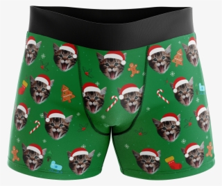 Cat Hat Boxers Santa - Briefs #4738406