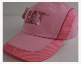 Cat #4738605