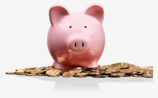 1646256-copy - Ahorro Png #4738606