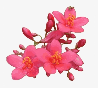 Animated Pink Flowers - Flower Gif With Transparent Background #4741250