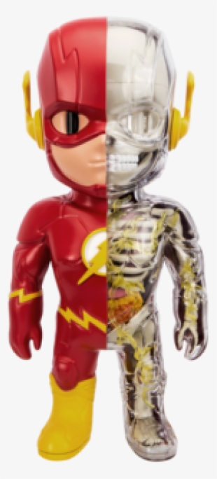 4d Xxray The Flash - 4d Xxray Flash #4741311