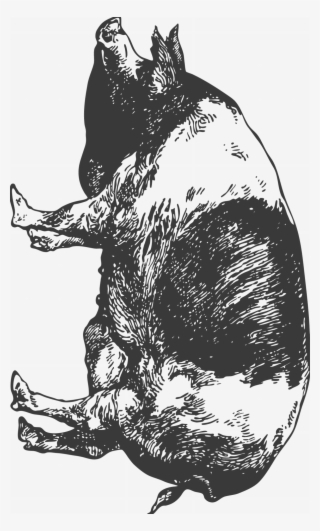 Vintage Food - Artehouse Decorative Wood Sign Need More Bacon D Wood #4741312 Vintage Food - Artehouse Decorative Wood Sign Need More Bacon D Wood #4741312