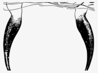 Mermaid Tail Clipart Public Domain #4742447 Mermaid Tail Clipart Public Domain #4742447