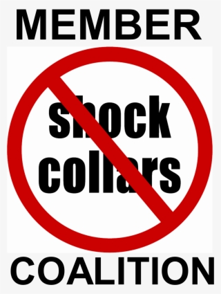 The Polarization Of The Dog Training No Pain Vs - Shock Collars #4742456