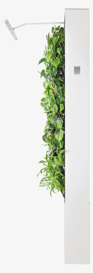 Naava One Slim - Refrigerator #4745825