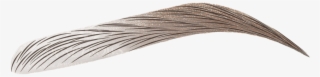 Day - Brows Png #4745896 Day - Brows Png #4745896