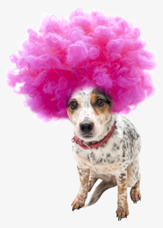 Wigwag-wig - Birthday Card A-maize-ing Goggly Eyes #4749674