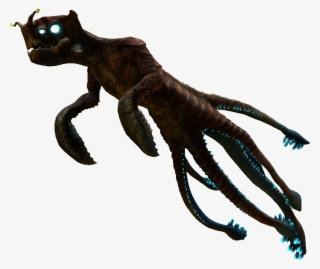 Sea Emperor Baby - Sea #4749842