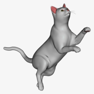 White Cat - Cat Yawns #4751059