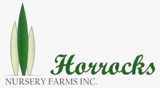 Christmas Tree Farm - Quotes For Choosing To Be Happy #4756146