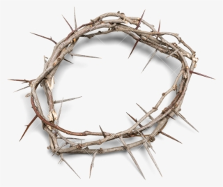 Crown Of Thorns Background - Called To Reign By Rick Edwards 9781535116541 (paperback) #4757156